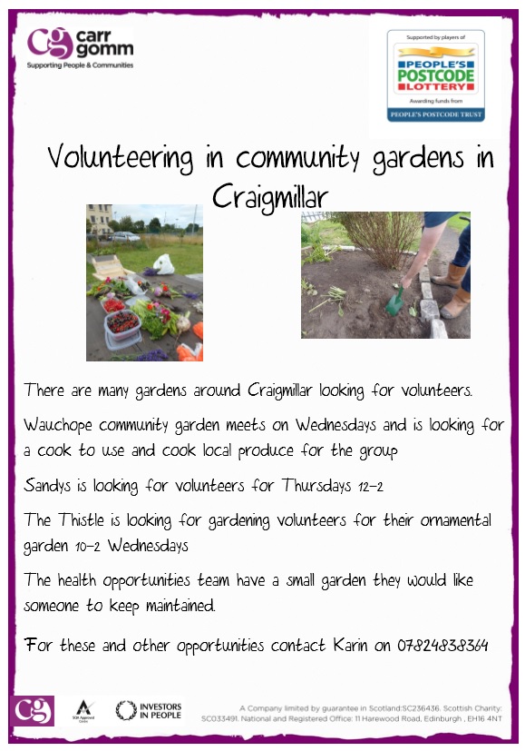 volunteer-community-gardens