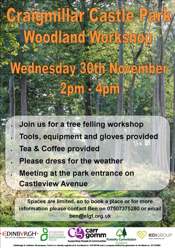 woodland-workshop
